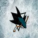 icehockeyfan