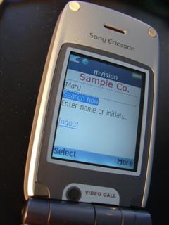 Searching corporate directories with WAP