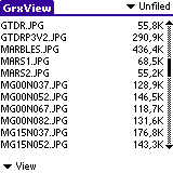 GrxView for Palm OS