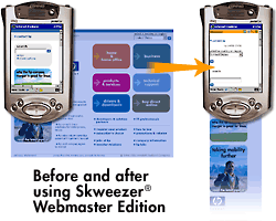Skweezer Webmaster Edition