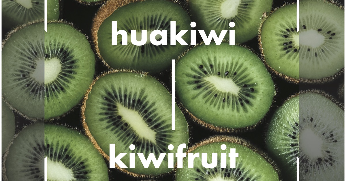 Spark and Te Aka Māori Dictionary launch a visual Te Reo Māori translation app