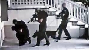 Kim Dotcom's home raided | news.com.au ...