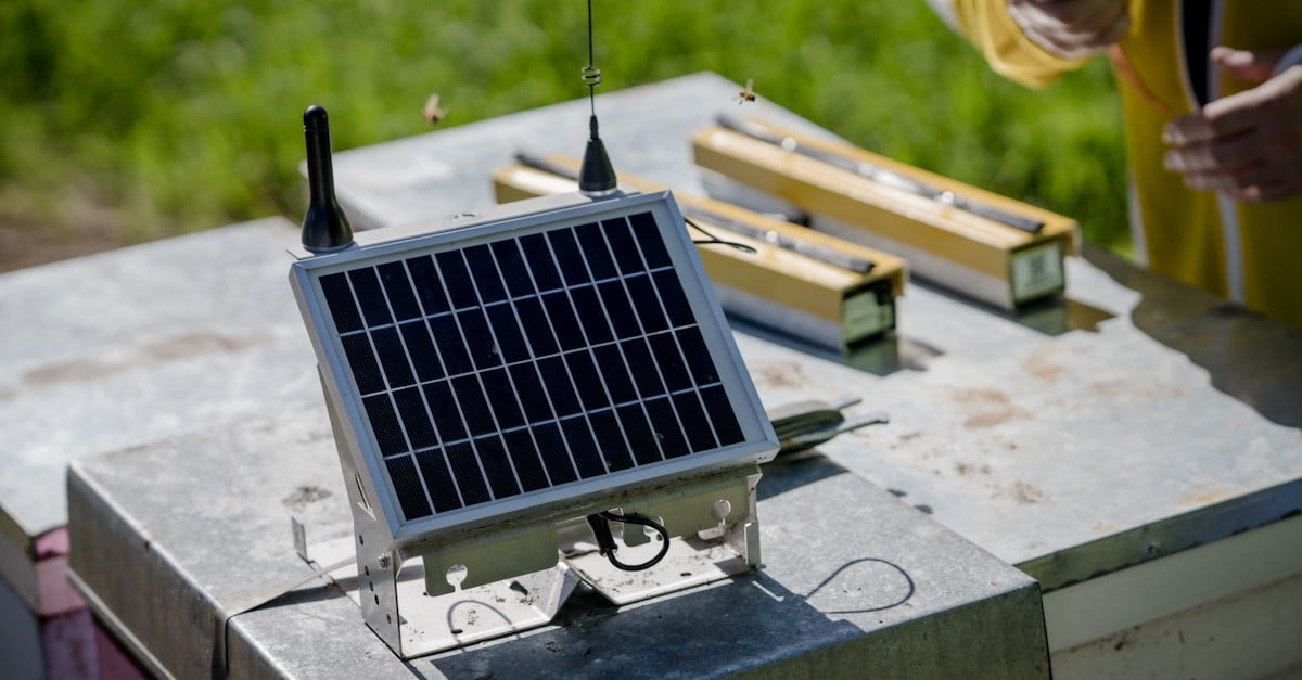 One NZ Satellite IoT goes live for customers