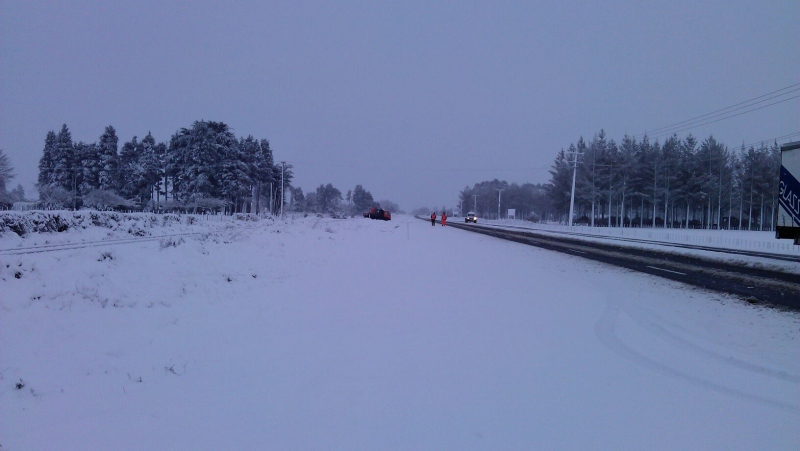 snowd in