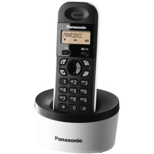 The Old Panasonic