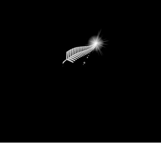 SilverFern_Grey_Flare_Ray