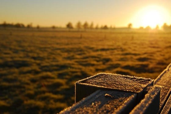 Frost on a post