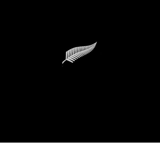 SilverFern_Grey