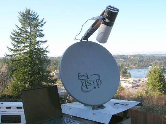Dish