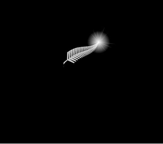 SilverFern_Grey_Larger_Flare