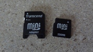 256 MB Mini SD
