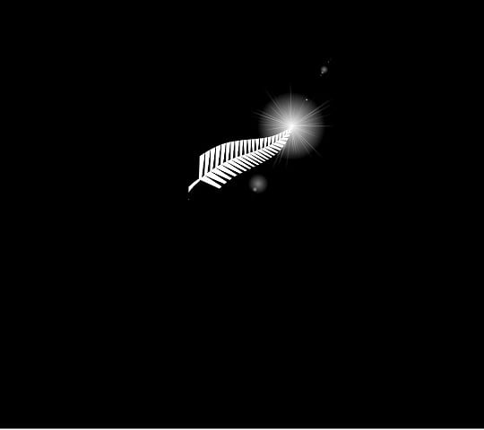 SilverFern_White_Flare_Ray