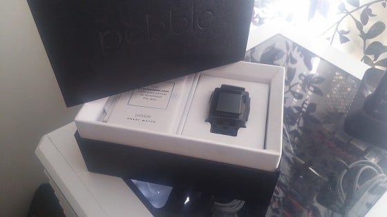 Pebble Steel in all its Goodness