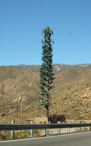 Tree Tower