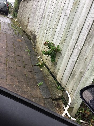 Bottom of fence
