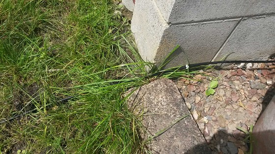 Cable exiting shallow trench.