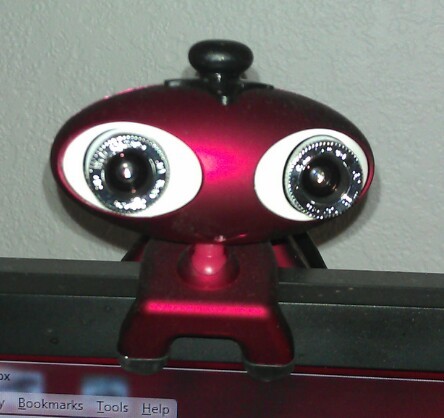 3D Webcam